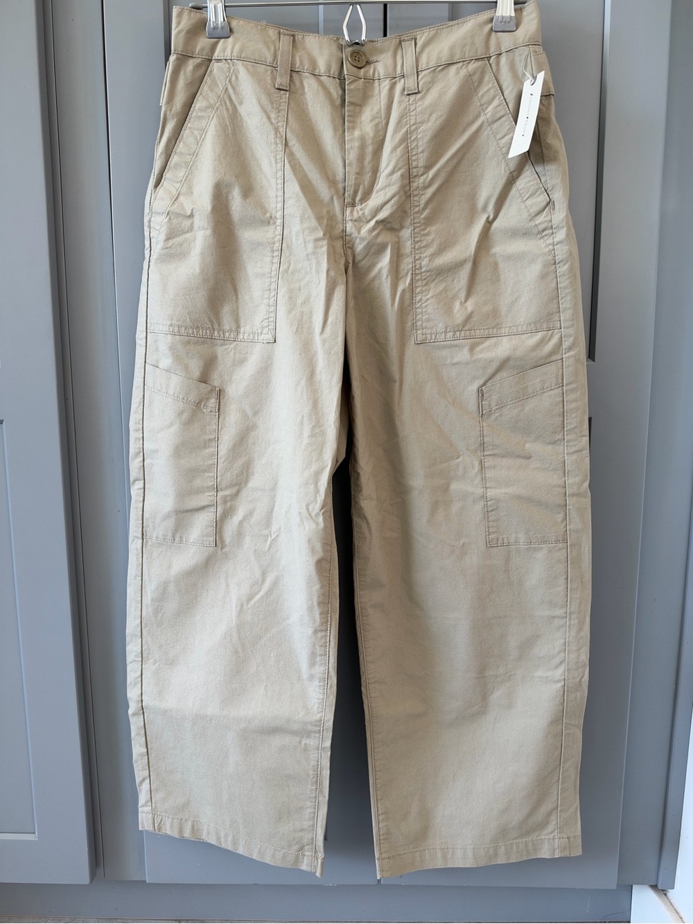 AGOLDE Daria Wide-Leg Utility Pants